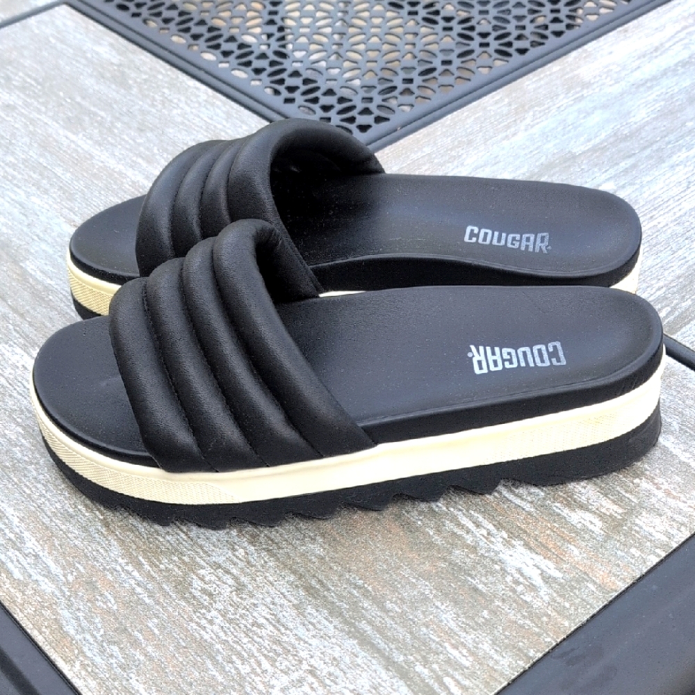 Cougar Slides